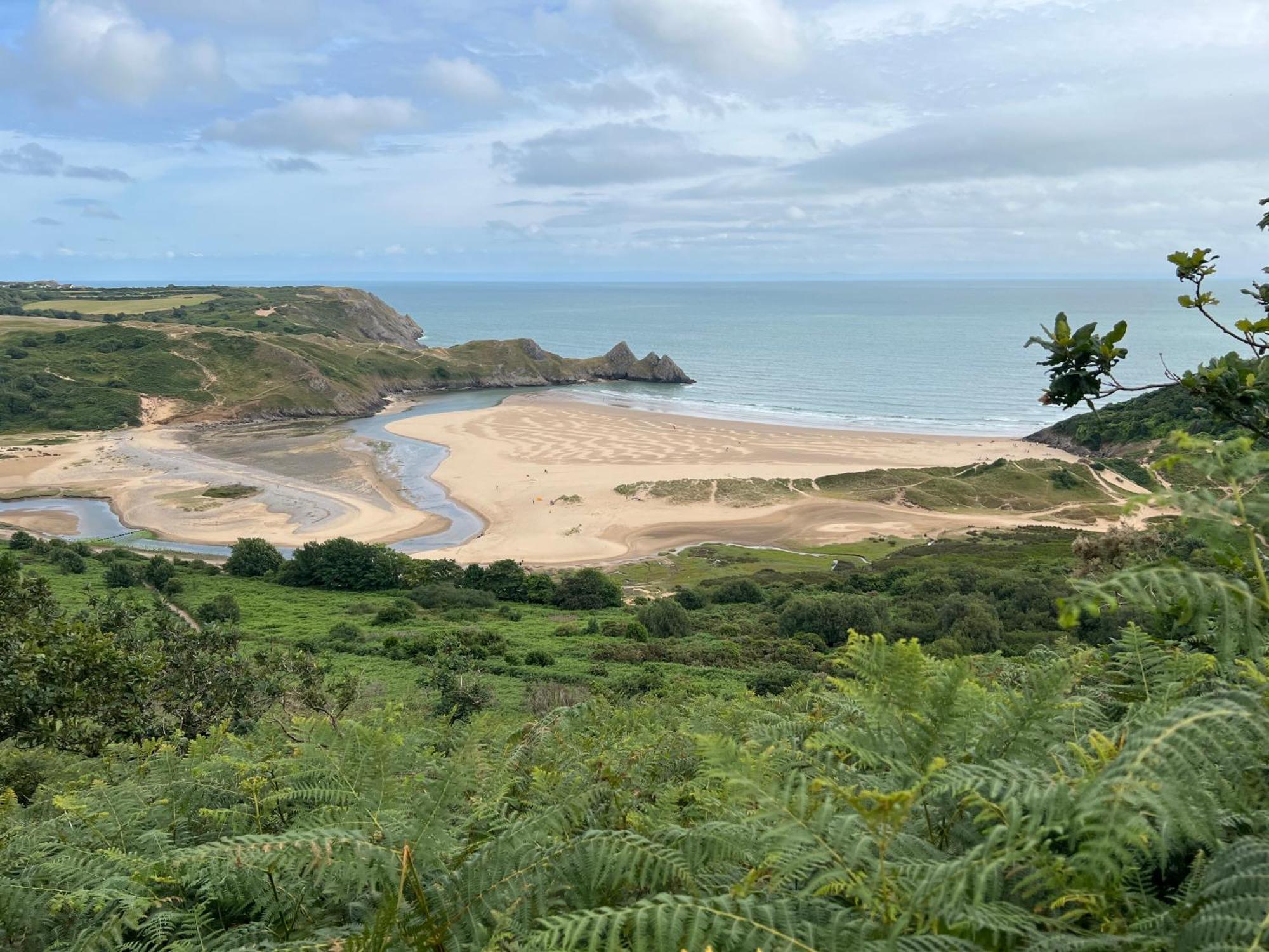Gower Getaway - Parking & Ensuite Swansea Eksteriør billede